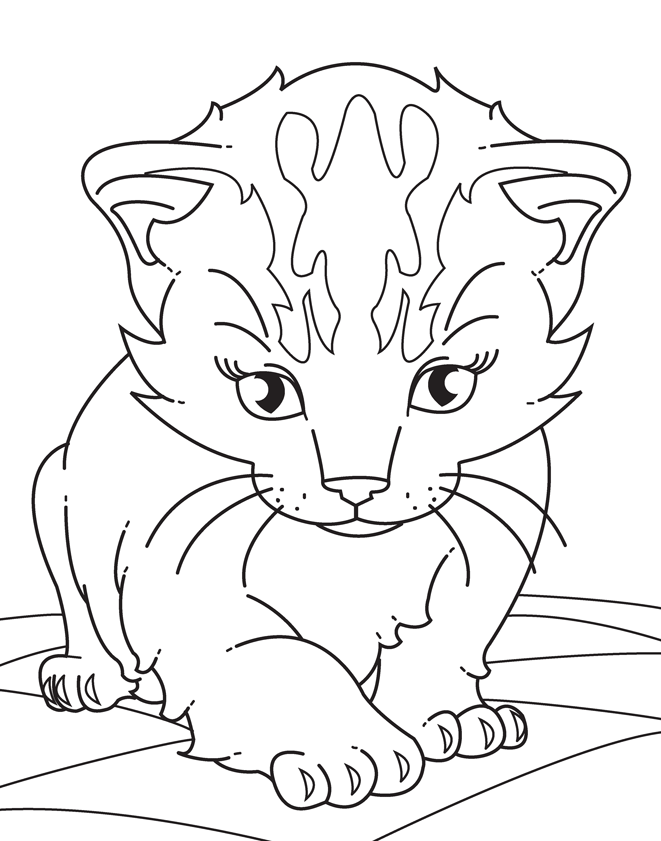 68+ Aesthetic Cat Coloring Pages Printable