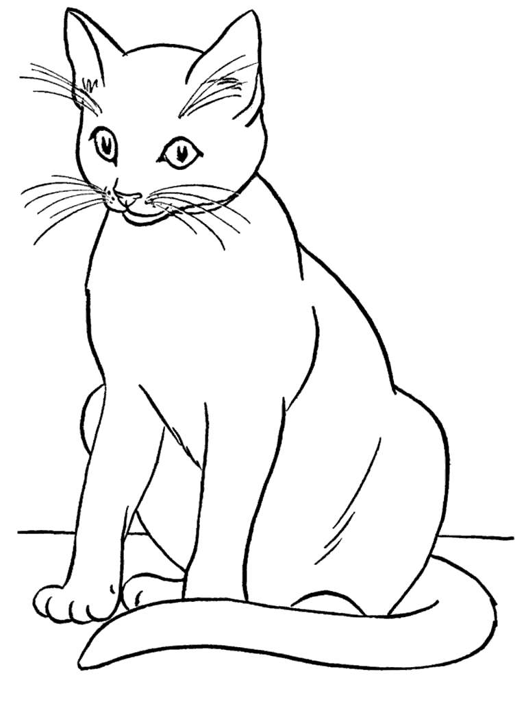 73+ Artistic Cat Coloring Pages Printable