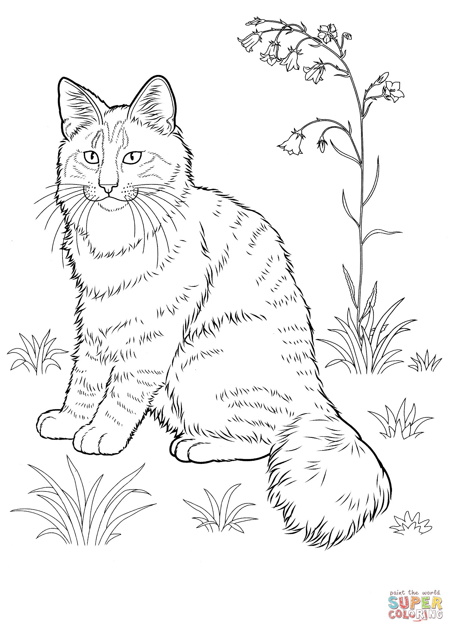 74+ Simple Cat Coloring Pages Printable