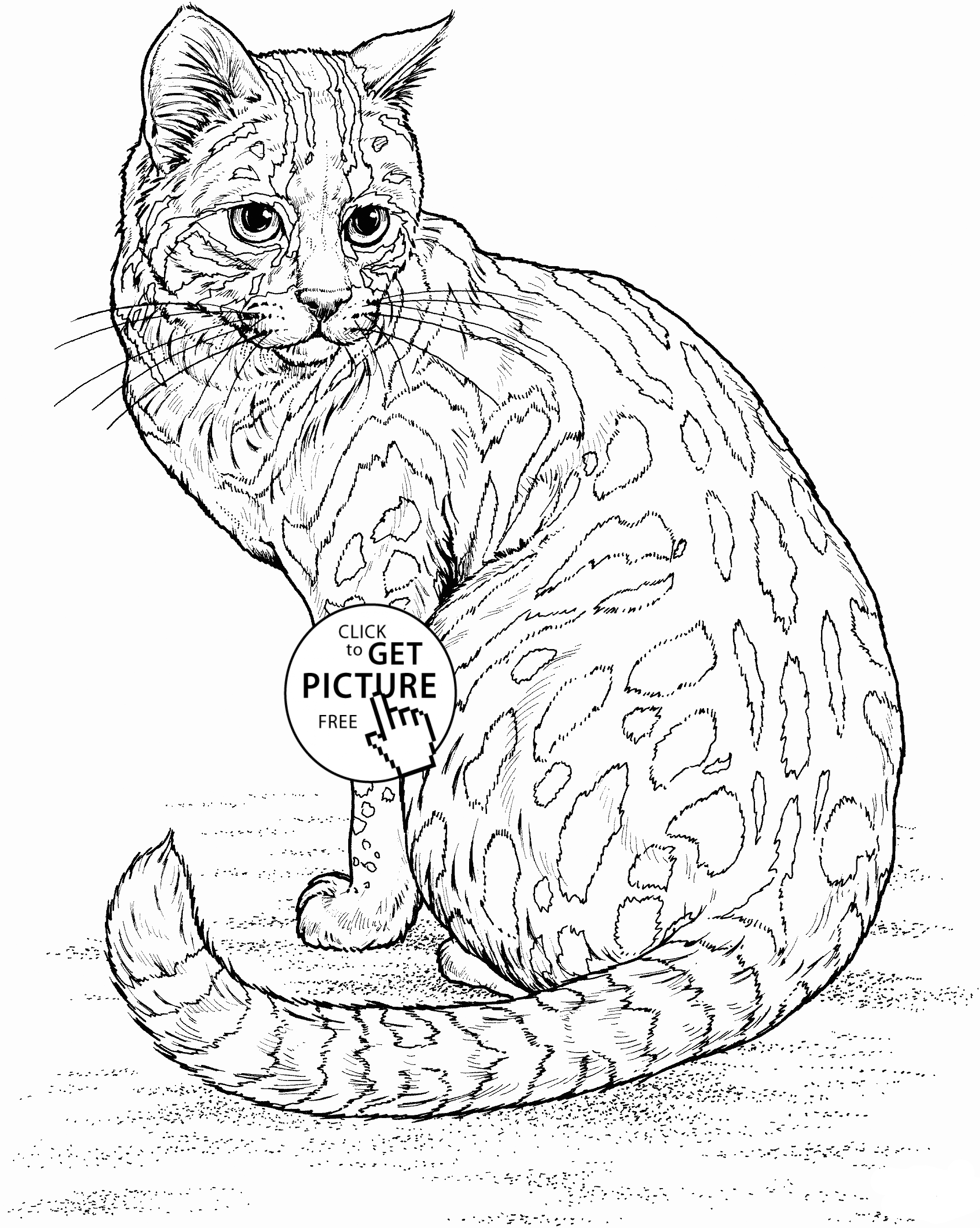 82+ Inspiring Cat Coloring Pages Printable