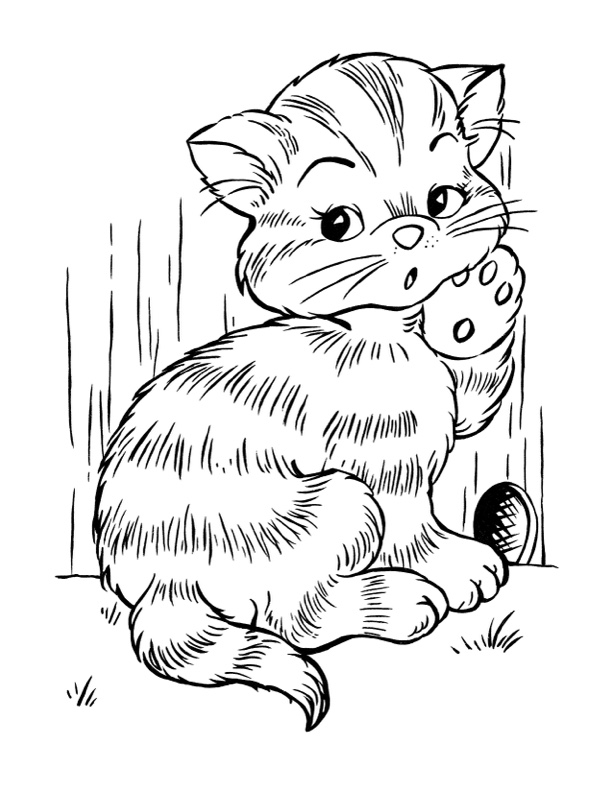 85+ The Best Cat Coloring Pages Printable