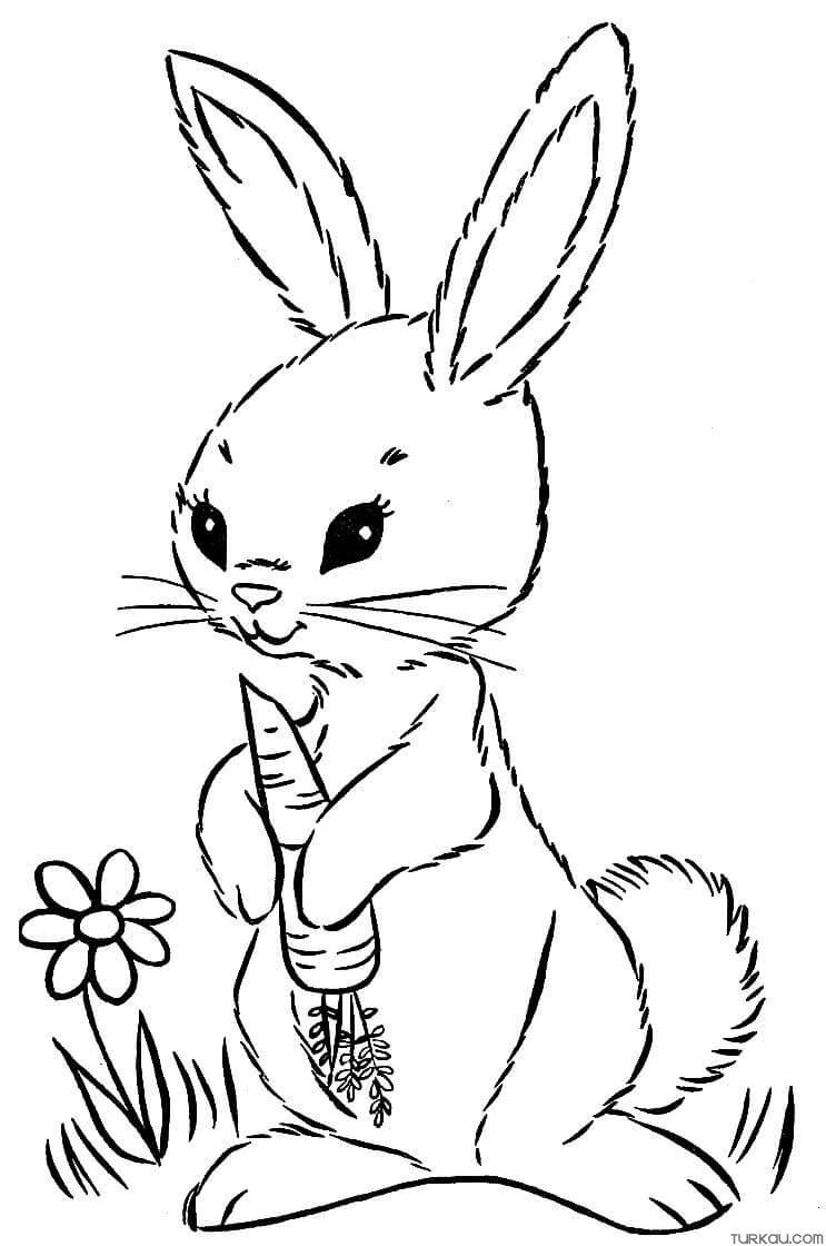 41+ Printable Bunny Coloring Pages Free Printable