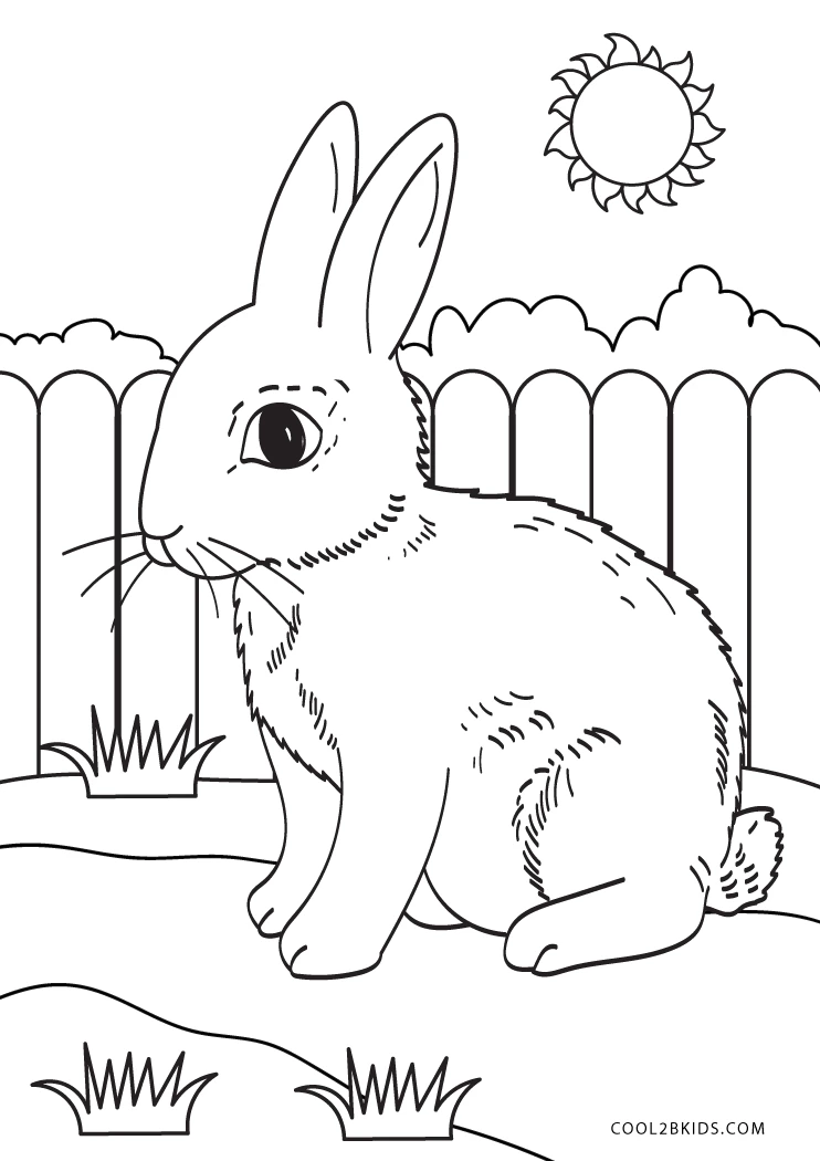 36+ Unique Bunny Coloring Pages for Adult