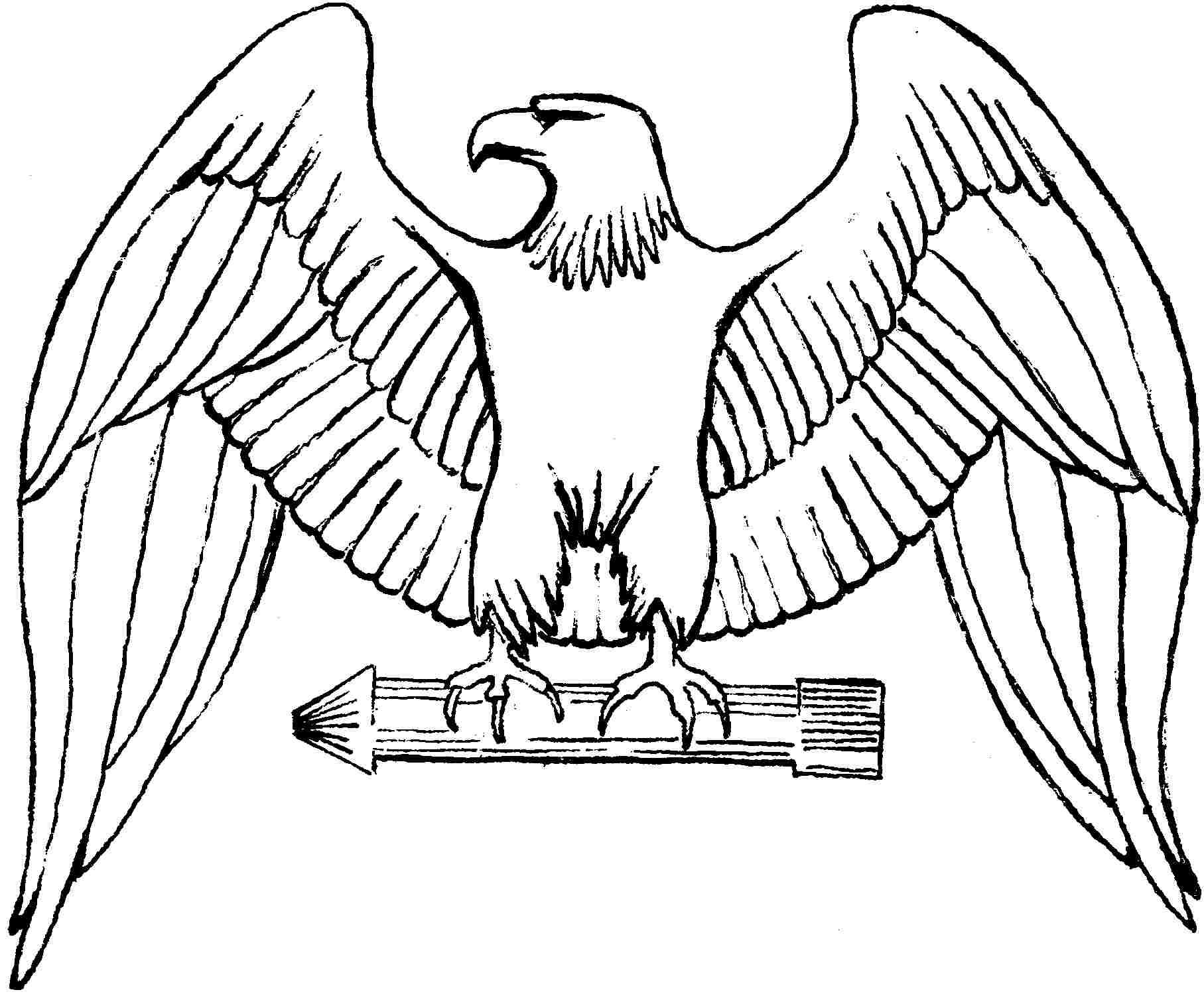 49+ Top Eagle Coloring Pages Colored