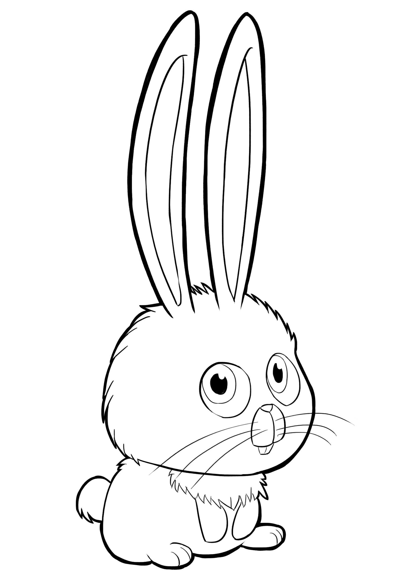 36+ Printable Bunny Coloring Pages Free Printable