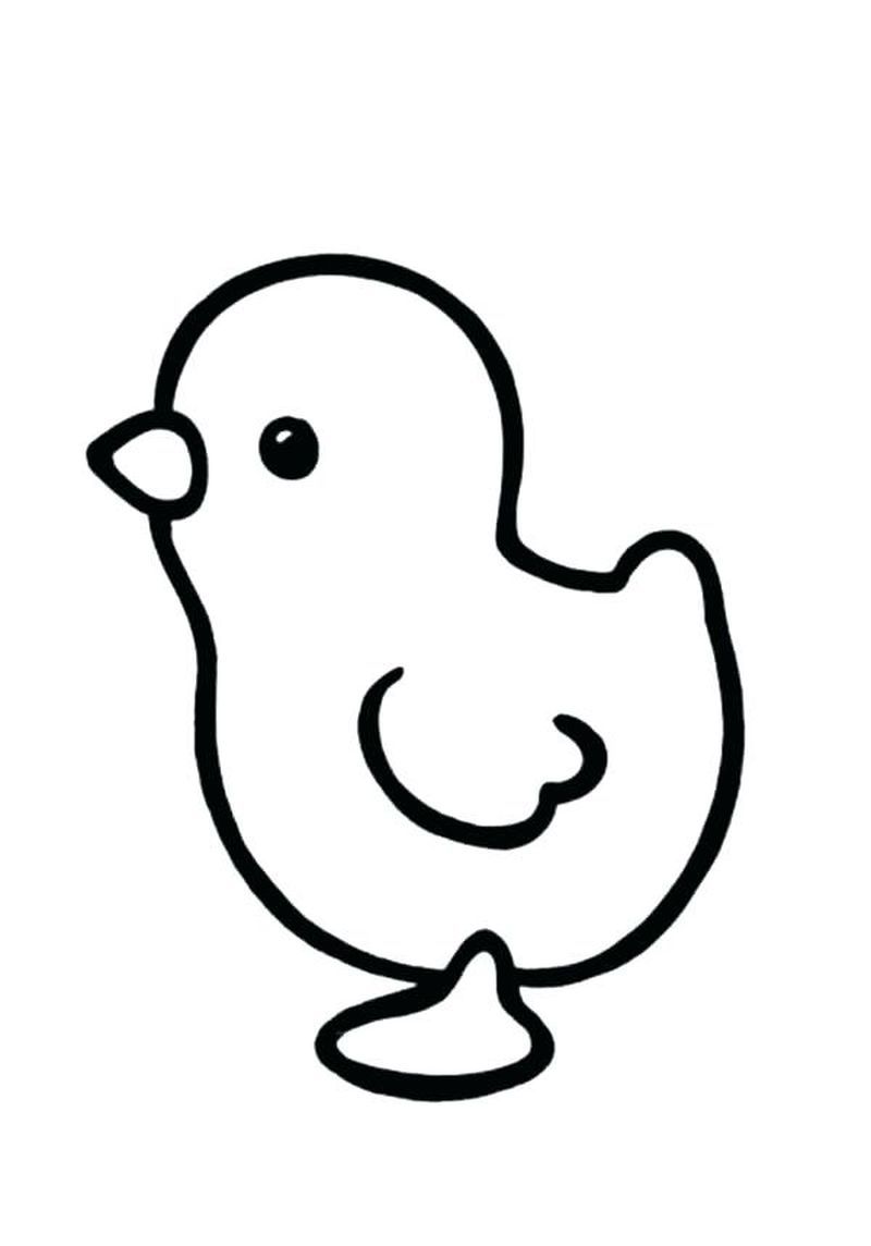 30 Cute Chick Free Printable Coloring Pages 29