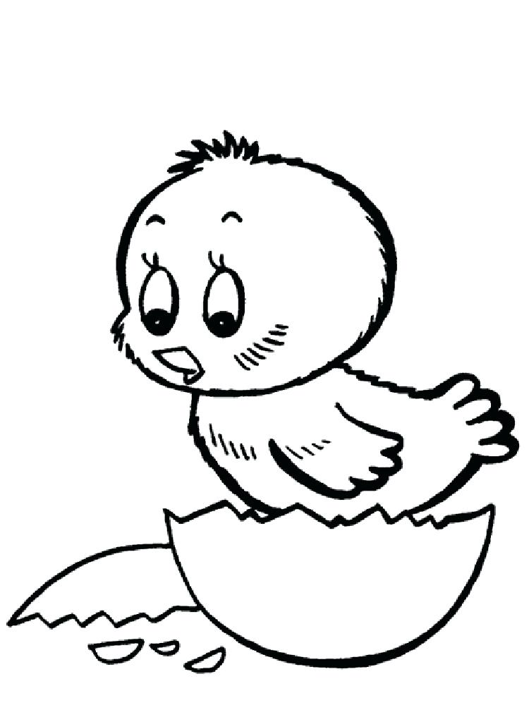 30 Cute Chick Free Printable Coloring Pages 5