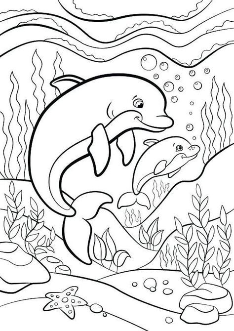 10+ Easy Dolphin Coloring Pages for Kids (PDF Printables)