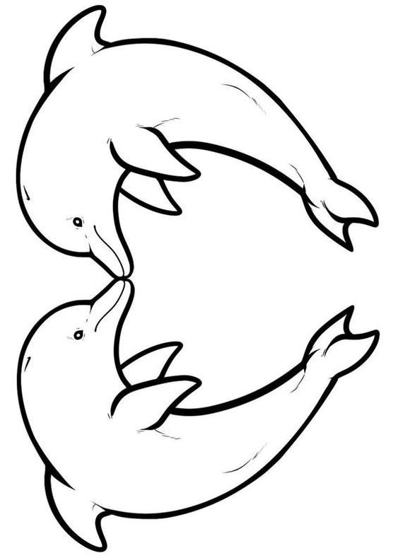 10+ Easy Dolphin Coloring Pages for Kids (PDF Printables)