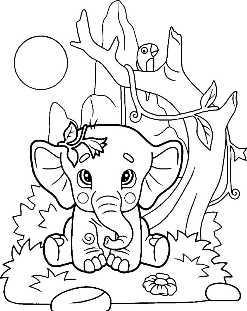 desert animals coloring pages for kids printable jpg