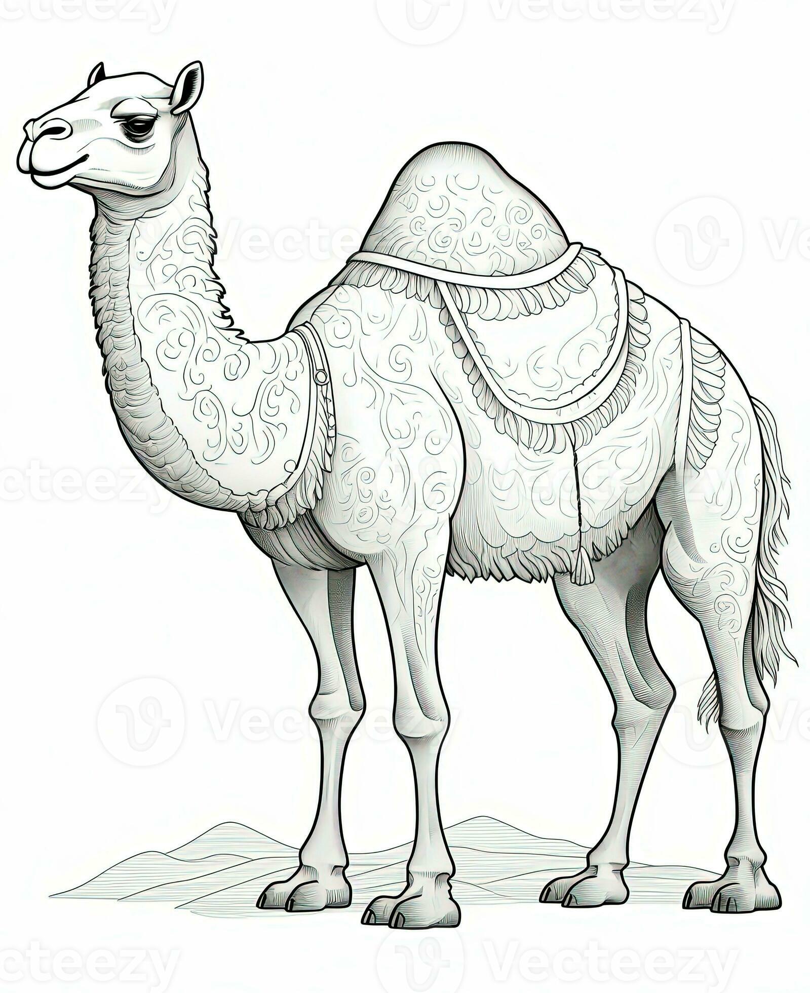 desert animals coloring pages for kids printable jpg