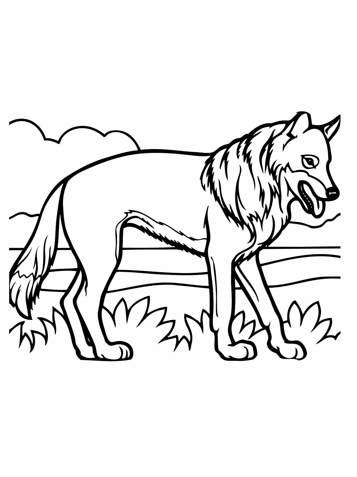 desert animals coloring pages for kids printable jpg