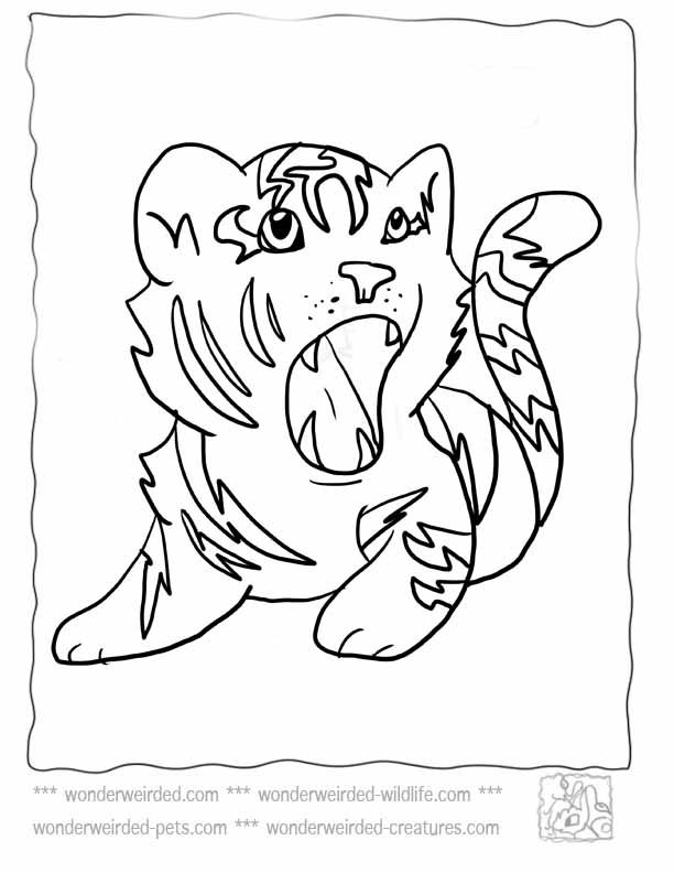 tiger coloring pages for kids printable jpg