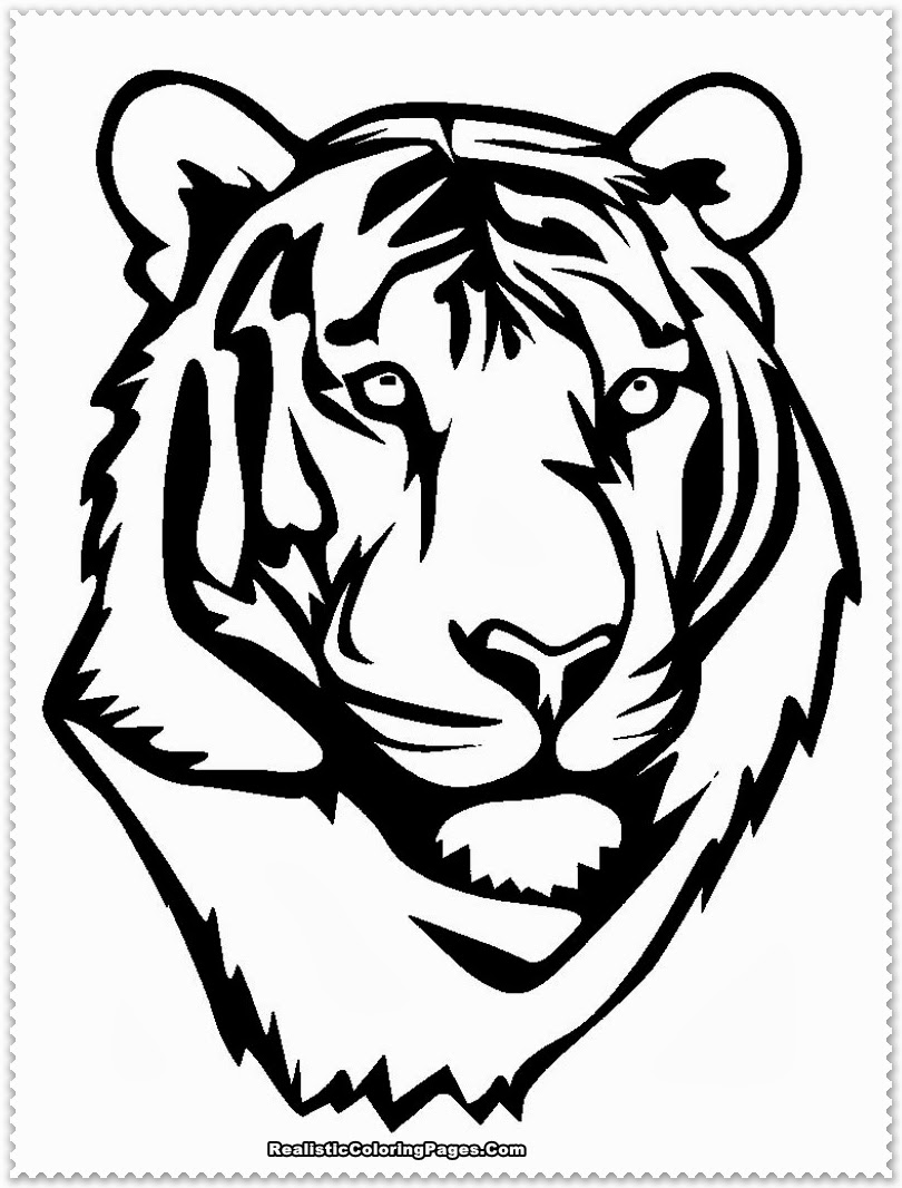 tiger coloring pages for kids printable jpg