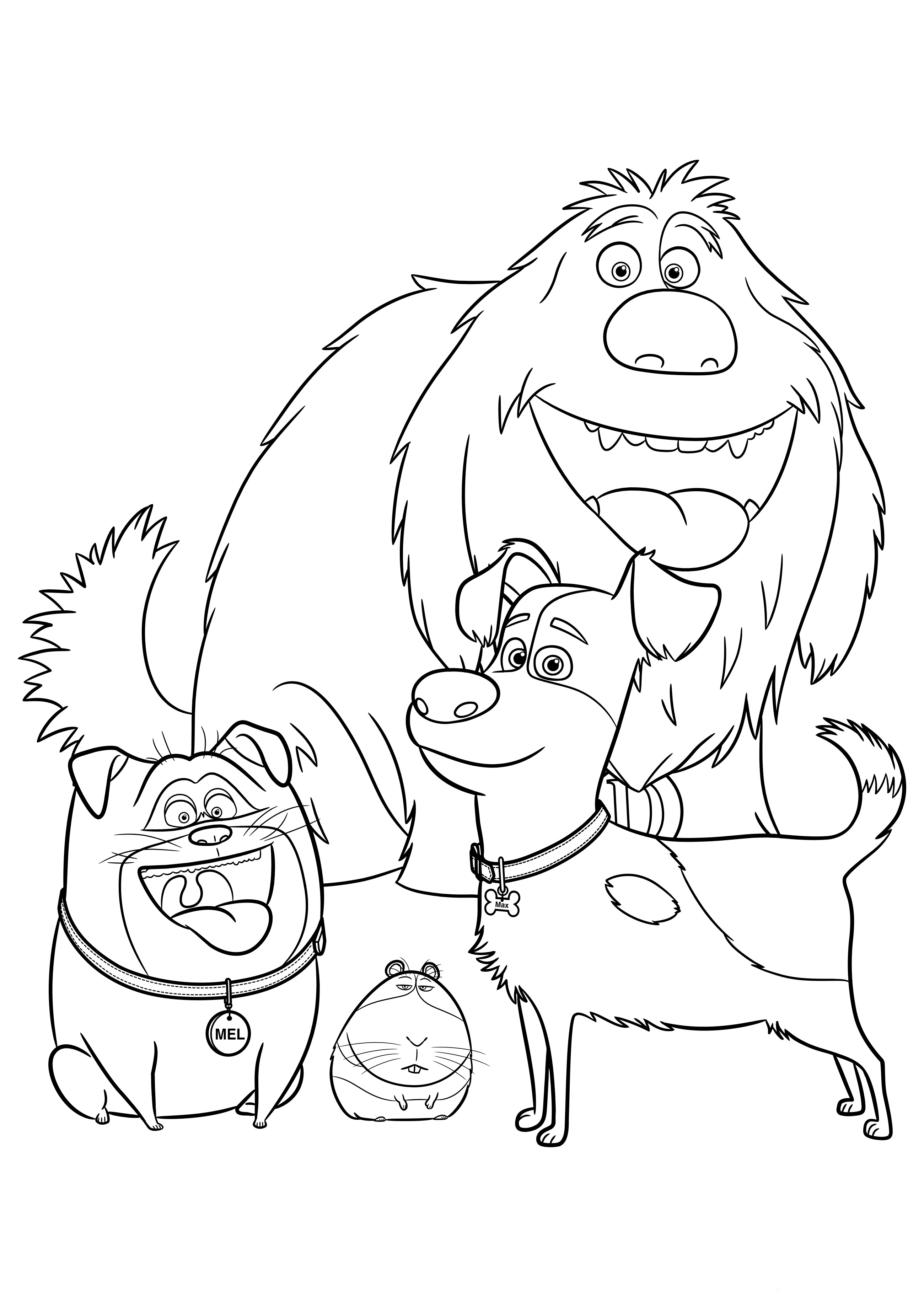 pets coloring pages printable jpg