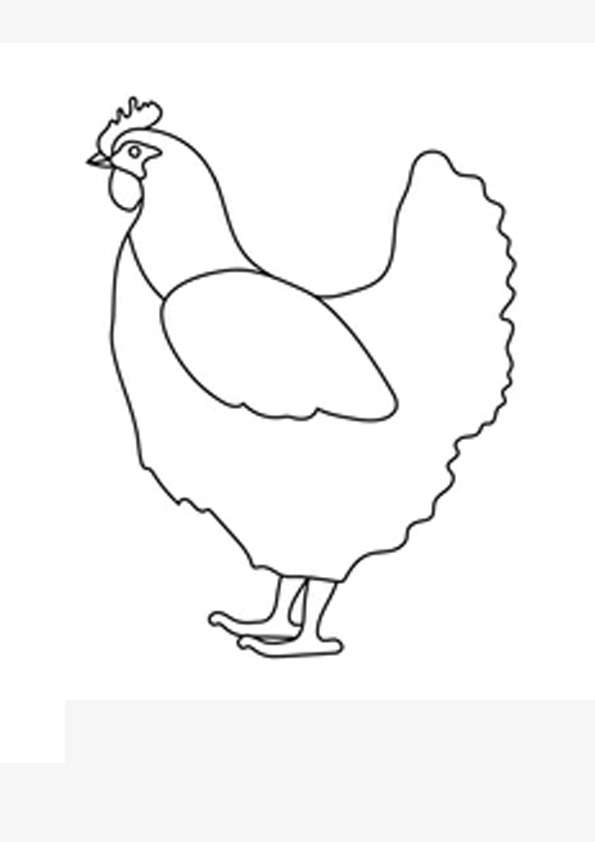 cute chicken coloring pages printable jpg