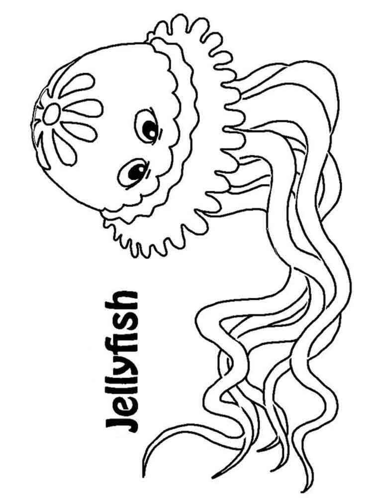 graceful jellyfish coloring pages printable jpg