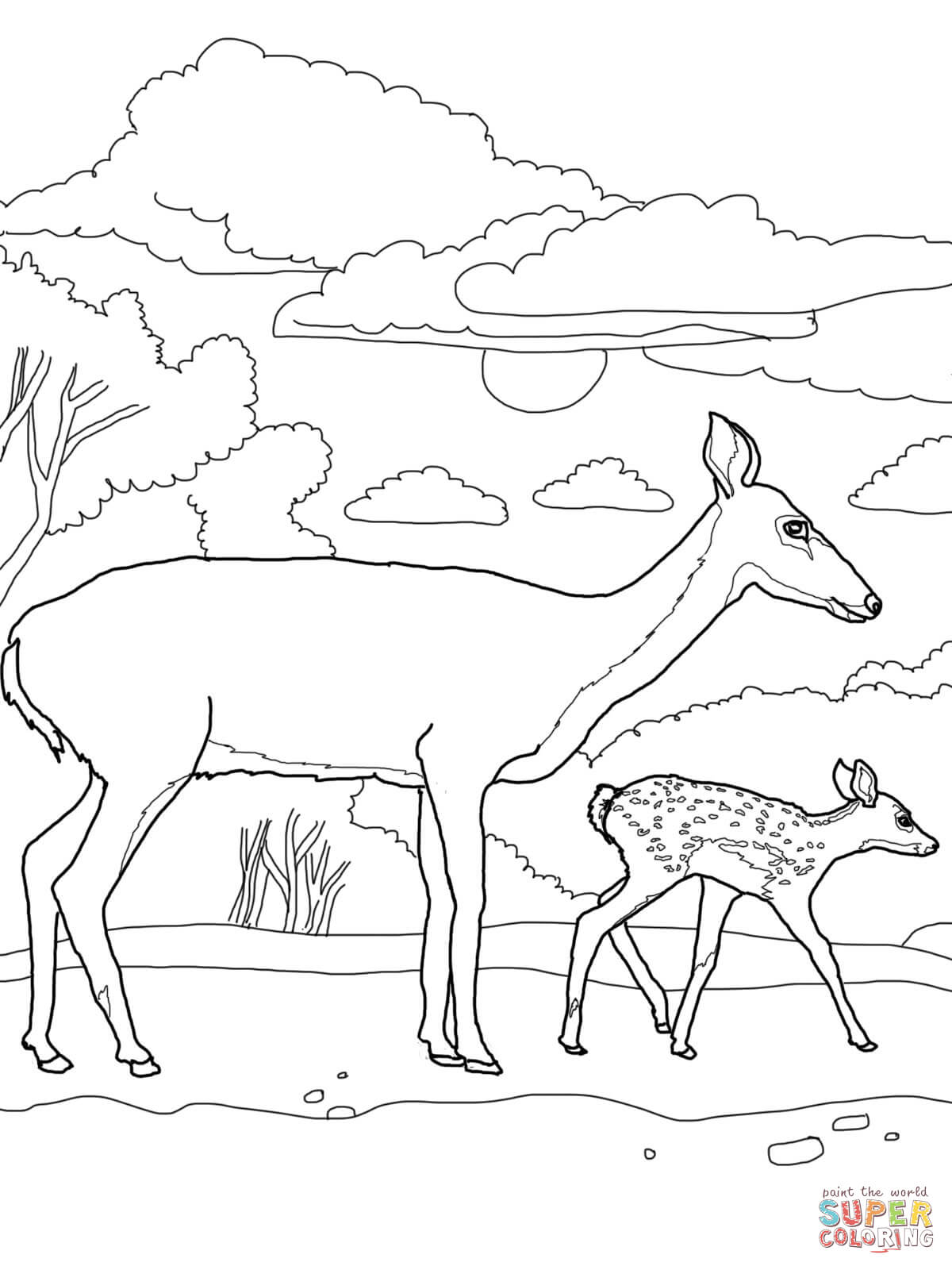 lovely deer coloring pages printable jpg