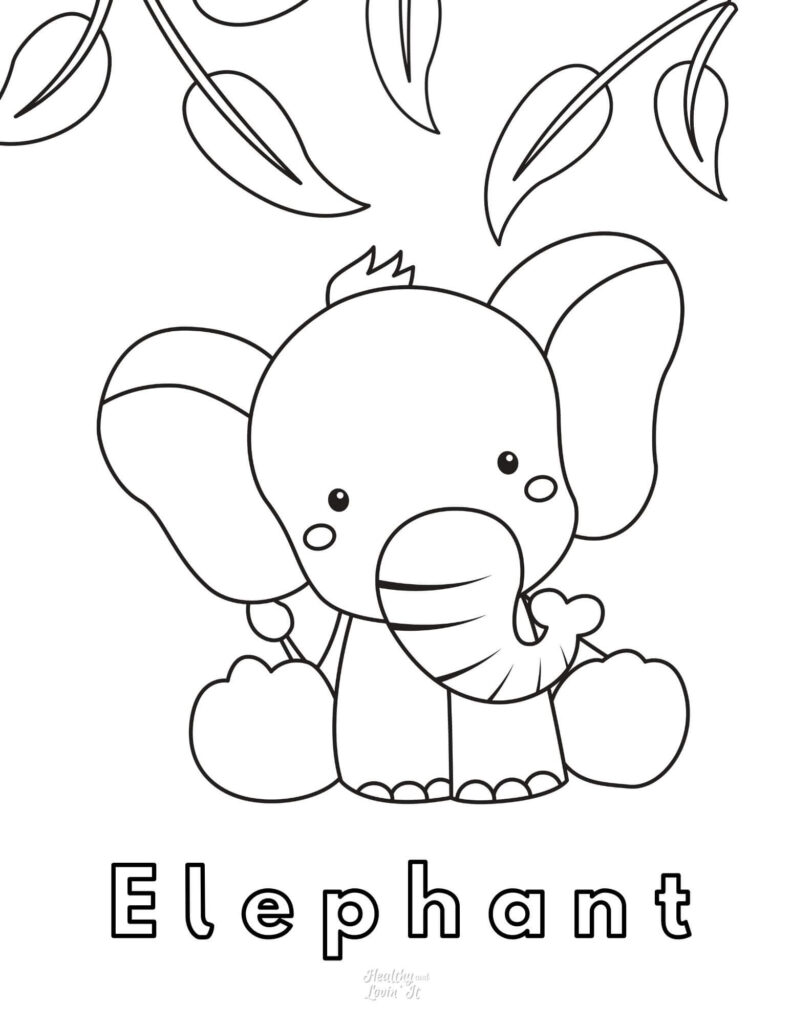 majestic elephant coloring pages printable jpg