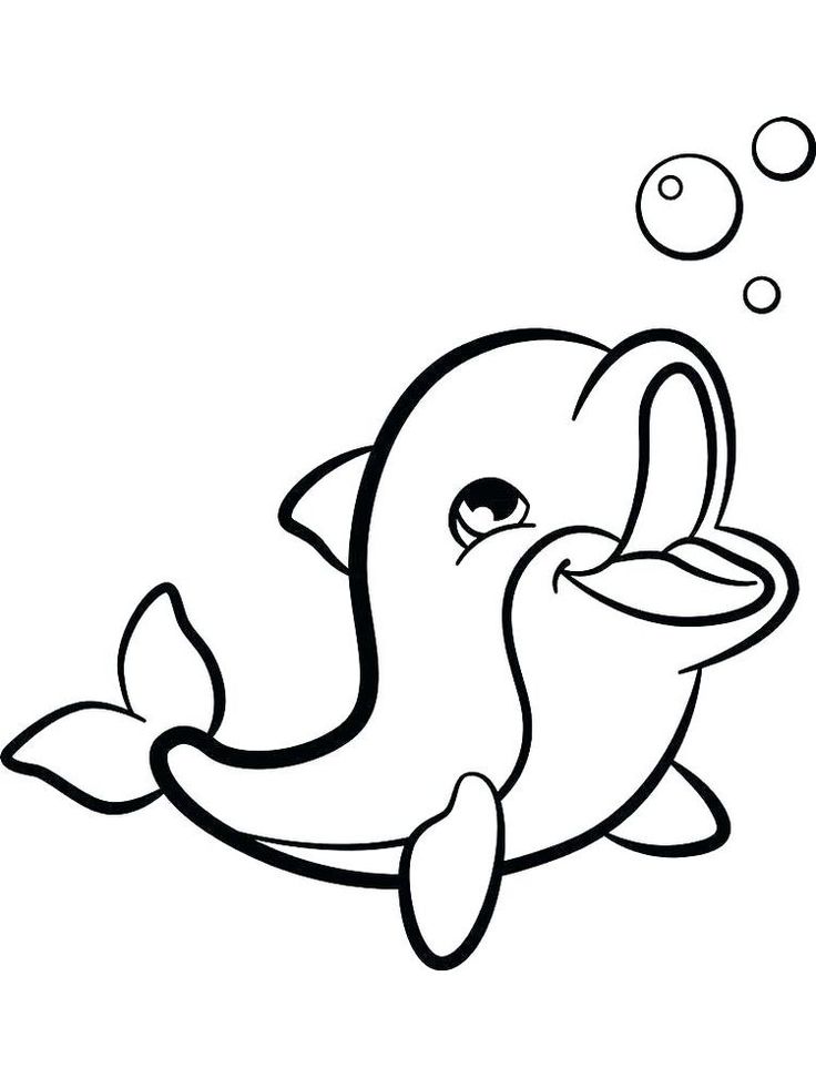 playful dolphins coloring pages printable jpg