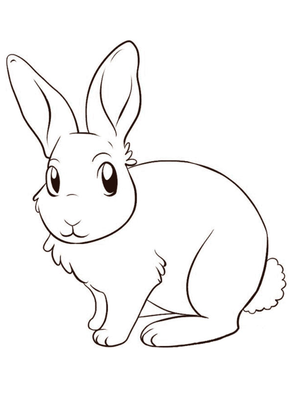 rabbit coloring pages to print printable jpg