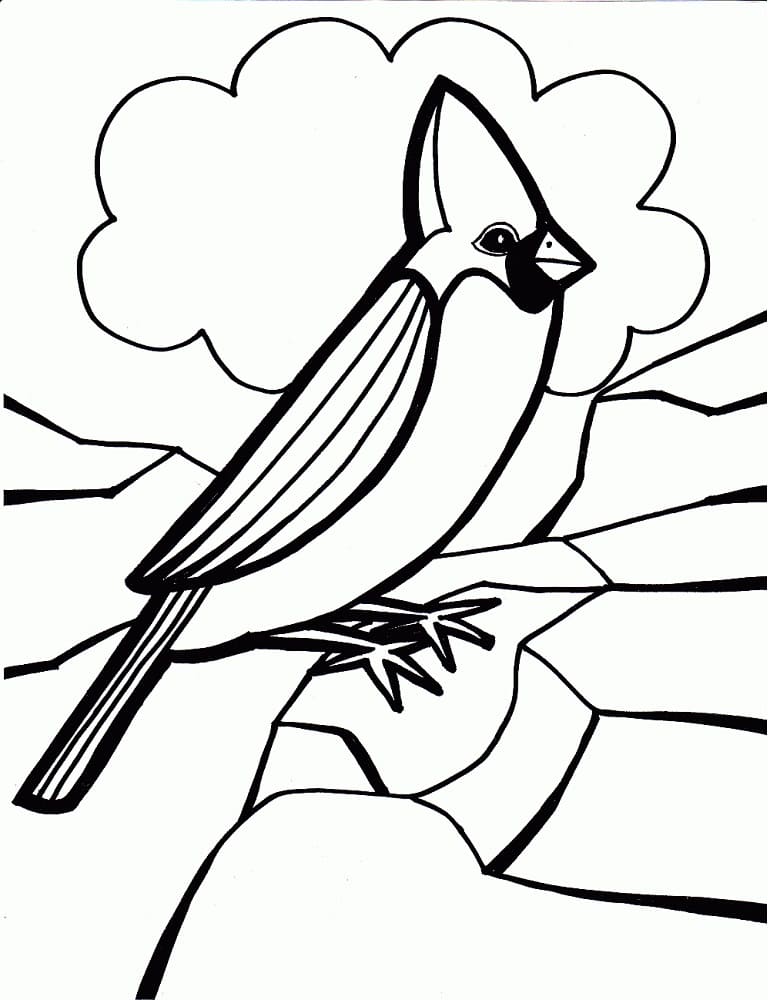 stunning northern cardinal coloring pages printable jpg