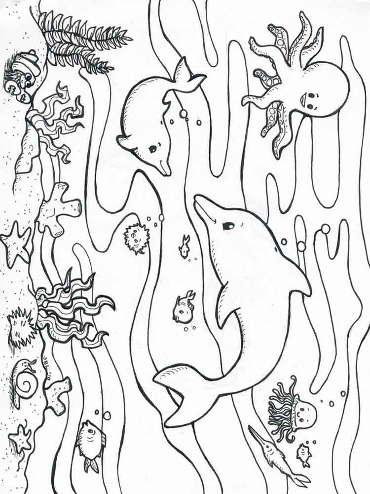 ocean adventure coloring pages printable jpg