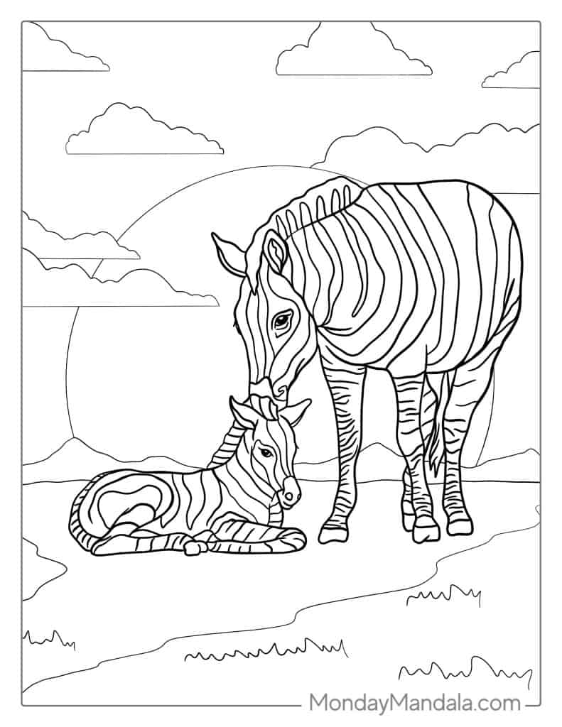 zebra coloring pages for kids printable jpg