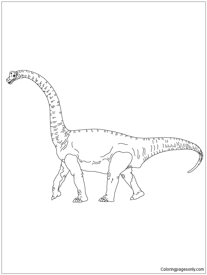 majestic brachiosaurus coloring pages printable jpg