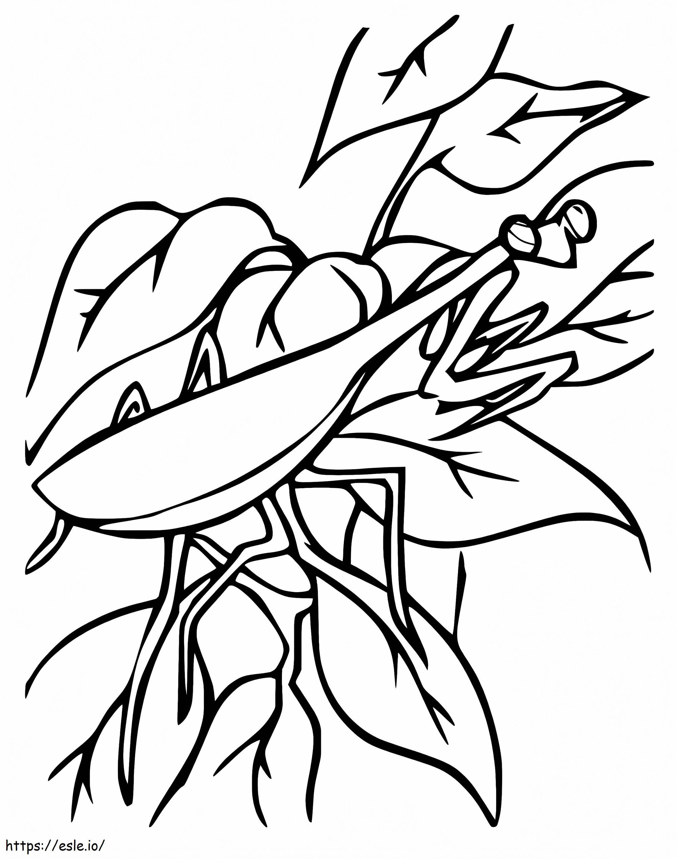 fascinating praying mantis coloring pages printable jpg