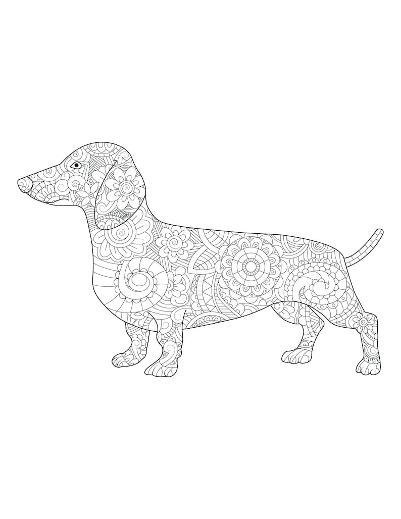 dachshund coloring pages printable jpg