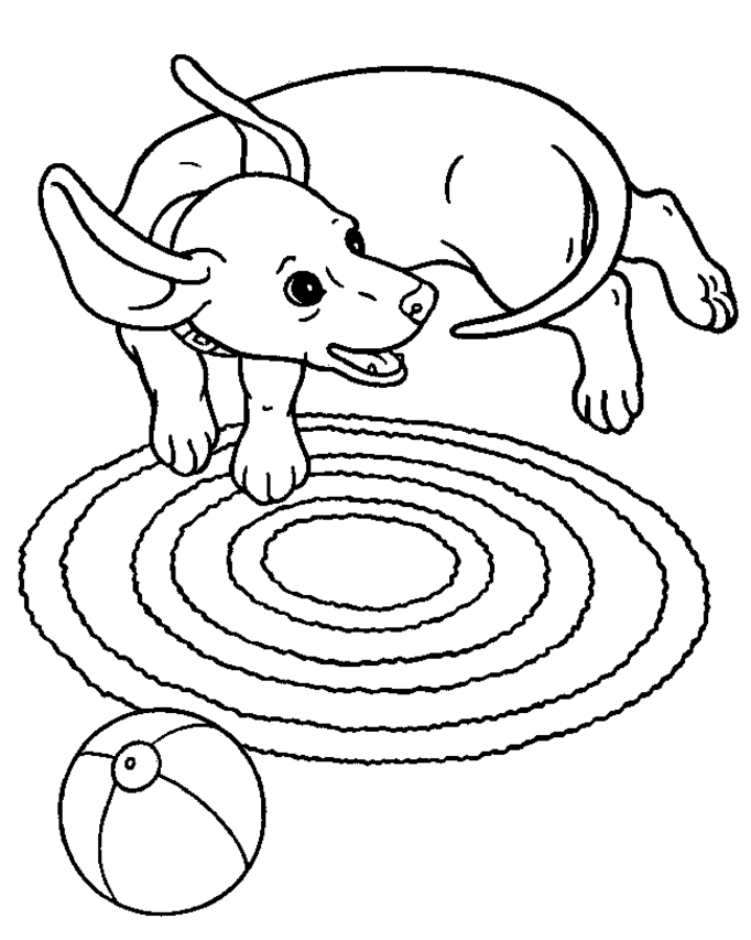 dachshund coloring pages printable jpg