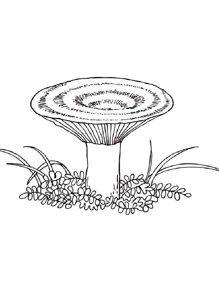 creative mushroom coloring pages to print printable jpg