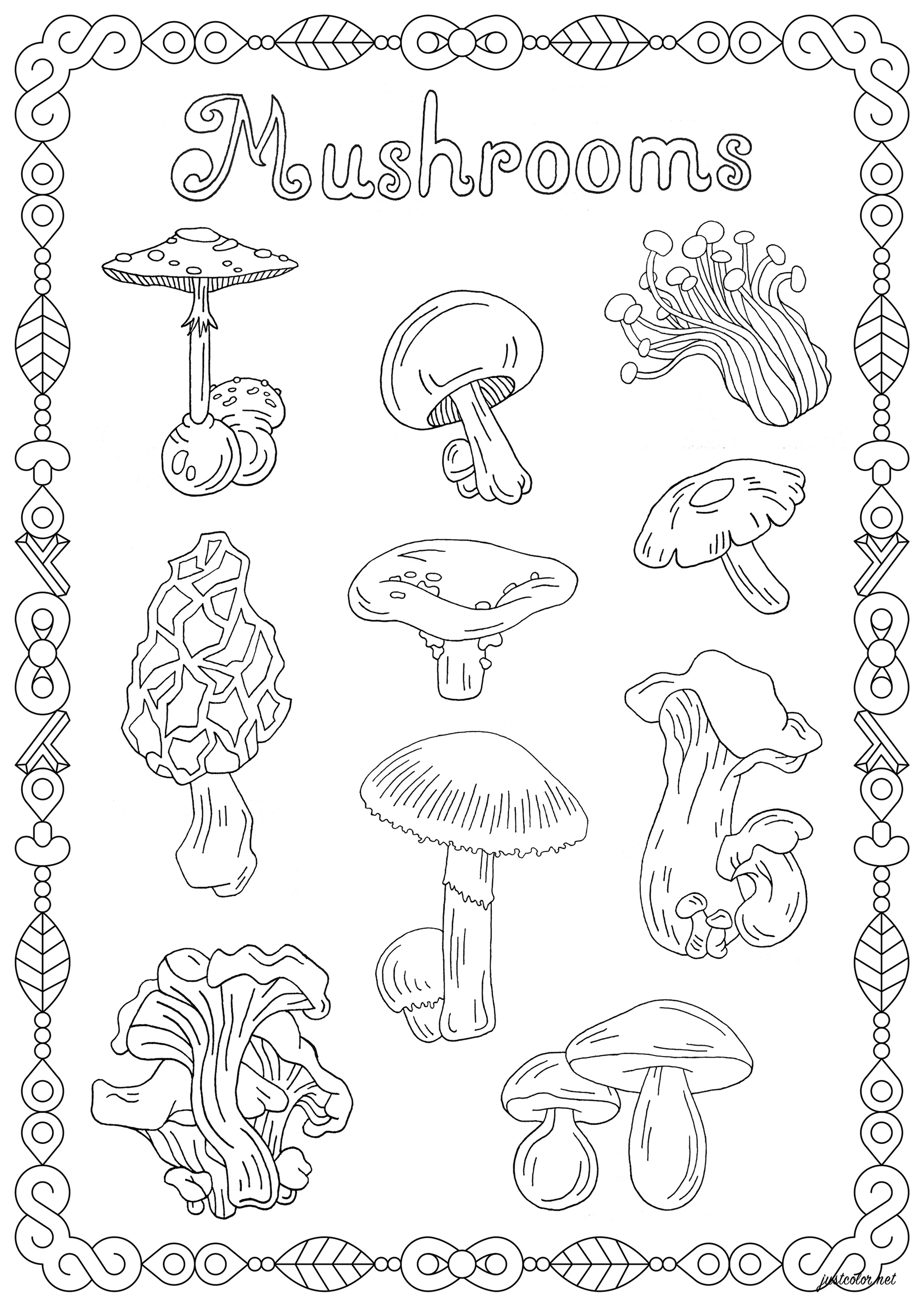 creative mushroom coloring pages to print printable jpg