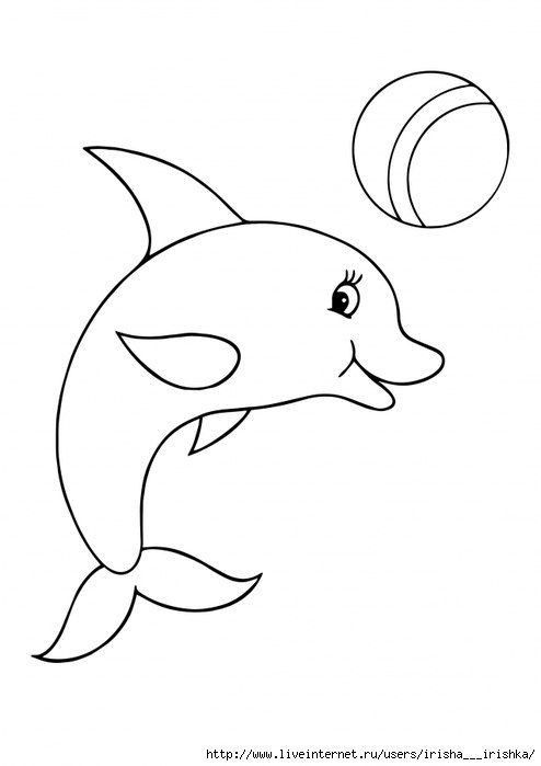 10+ Easy Dolphin Coloring Pages for Kids (PDF Printables)