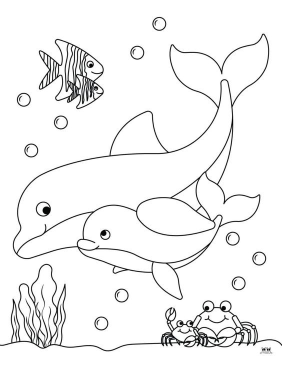 10+ Easy Dolphin Coloring Pages for Kids (PDF Printables)